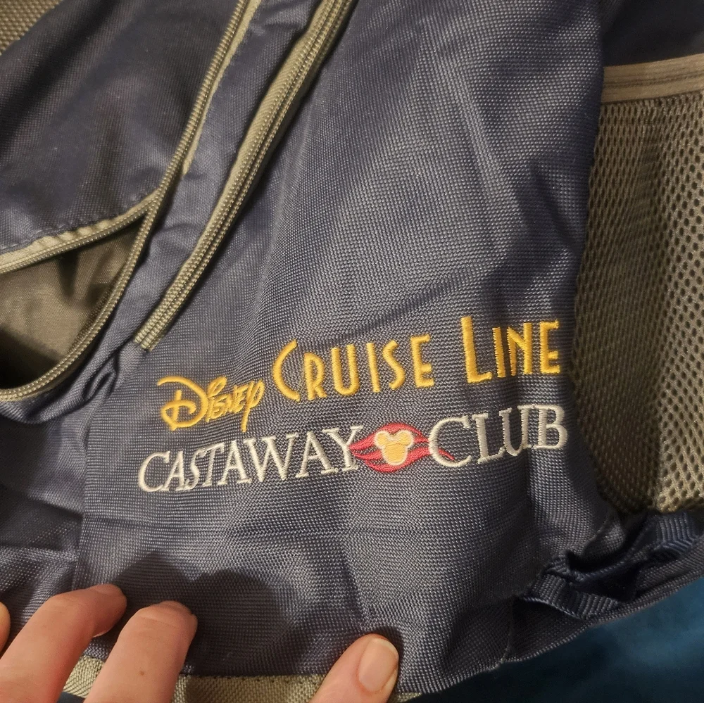 Disney stylish cruise